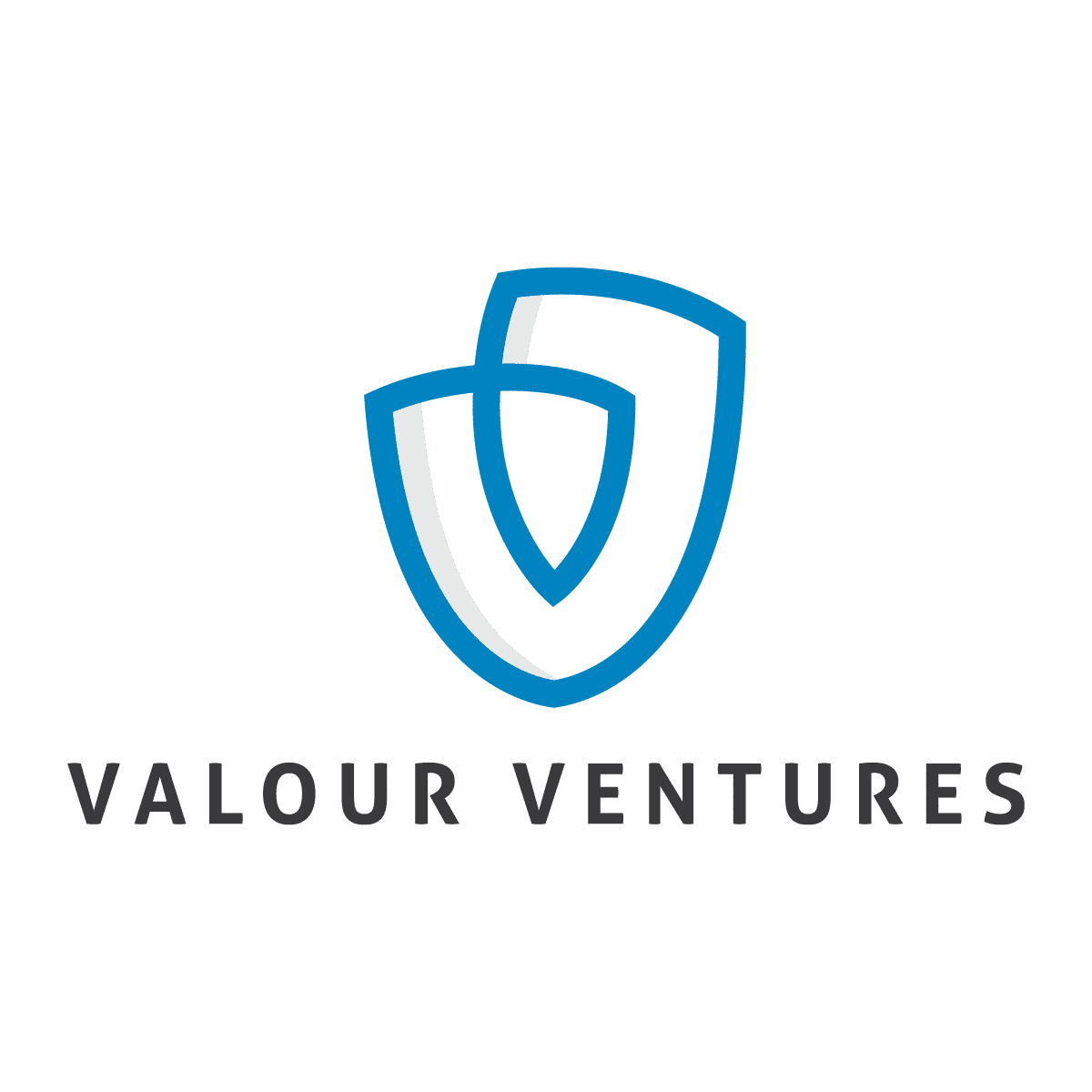 Valour Ventures Logo