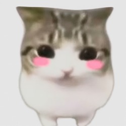 A little cat worn down by life. Logo