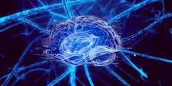 AB4AD (Antibodies for Alzheimer's Disease) Logo