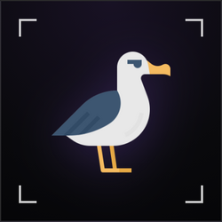 Albatross Protocol Logo