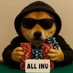 Logo ALLINU