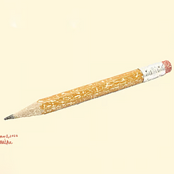 Annika's Pencil Logo
