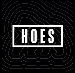 ApeChainHOES Logo