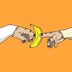 Logo Apes Go Bananas