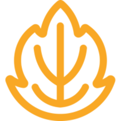Autumn Logo