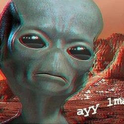 Ayy LMAO Logo