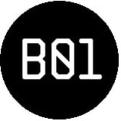 b0rder1ess Logo