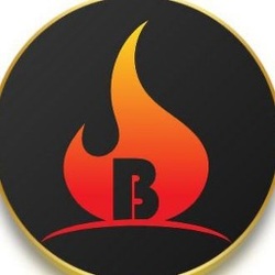 Baby BitBurnReflect Logo