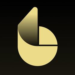 Balsa MM Fund Logo