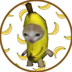 BananaCat Logo