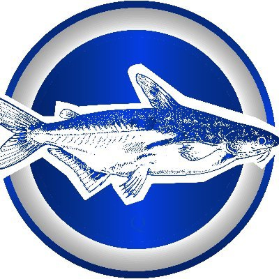 BasaFish Logo