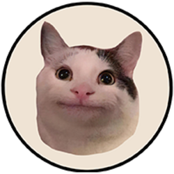 Beluga Cat Logo