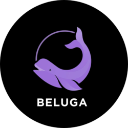 Beluga.fi Logo