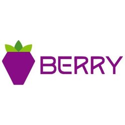 Berry Data Logo