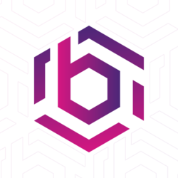 BHO Network Logo