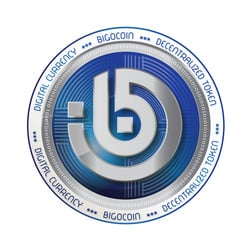 BIGOCOIN Logo