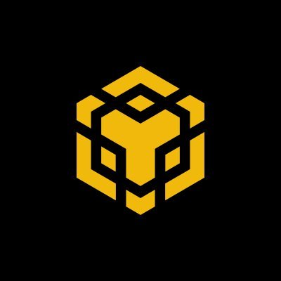 Binance Smart Chain Logo