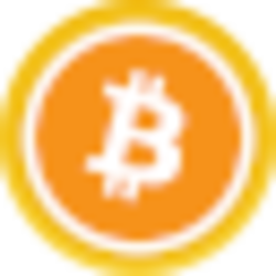 Binance Wrapped BTC Logo