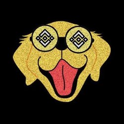 BinanceHODL Logo