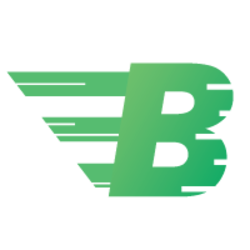 BitcashPay (Old) Logo