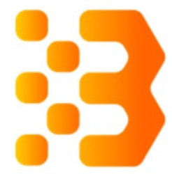 Bitcoin and Ethereum Standard Token Logo