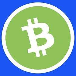 BITCOIN CASH ON BASE Logo