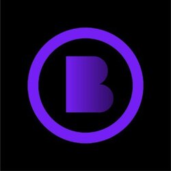 BitcoinZK Logo
