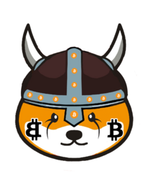 bitFloki Logo