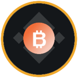 Logo BitMine Immersion Technologies (bStocks Tokenized Stock)