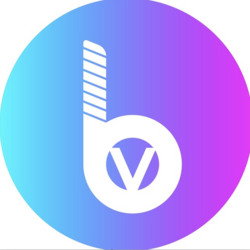 BitValley Logo