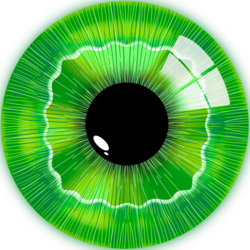 Blocklens AI Logo