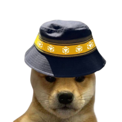 BNB DOGE Logo