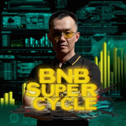 BNB SUPER CYCLE Logo