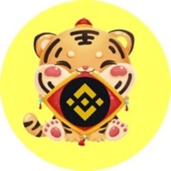 BNB Tiger Logo