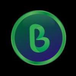 Bolic AI Logo