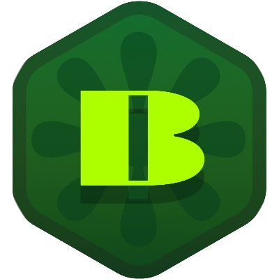 BorpaToken Logo
