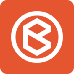 Botccoin Chain Logo