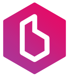 Brayzin Heist Logo