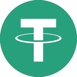 Linea Bridged USDT (Linea) Logo