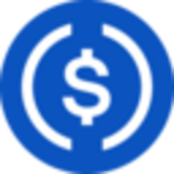 Bridged USDC (Moonriver) Logo
