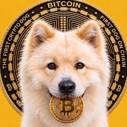 Logo Buddy -First Crypto Dog Price