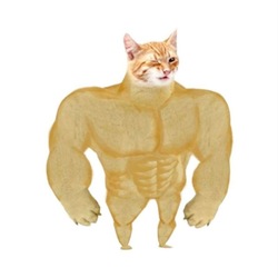 Logo Buff Cat