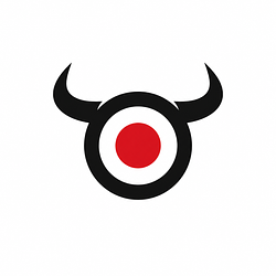 Logo BULLS'S EYE