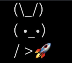 BunnyRocket Logo