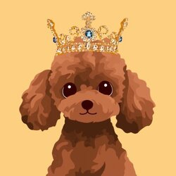 BunPoodle Logo