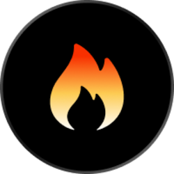 Burncoin Logo