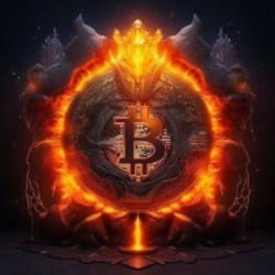 BurnKing Logo