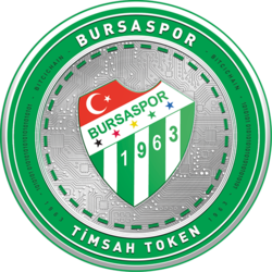 Bursaspor Fan Token Logo