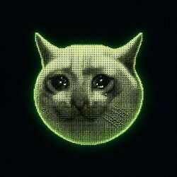 Logo Cashcat Chain