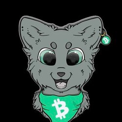 CashCats Logo
